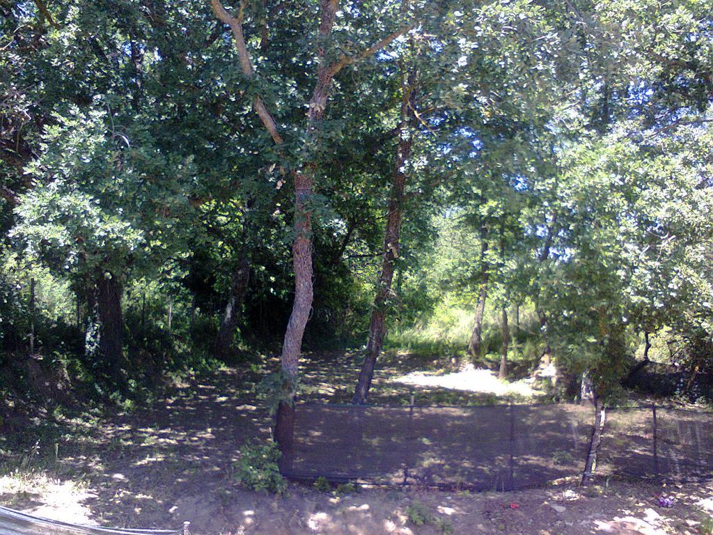 Agriturismo San Pietro Gangi Esterno foto