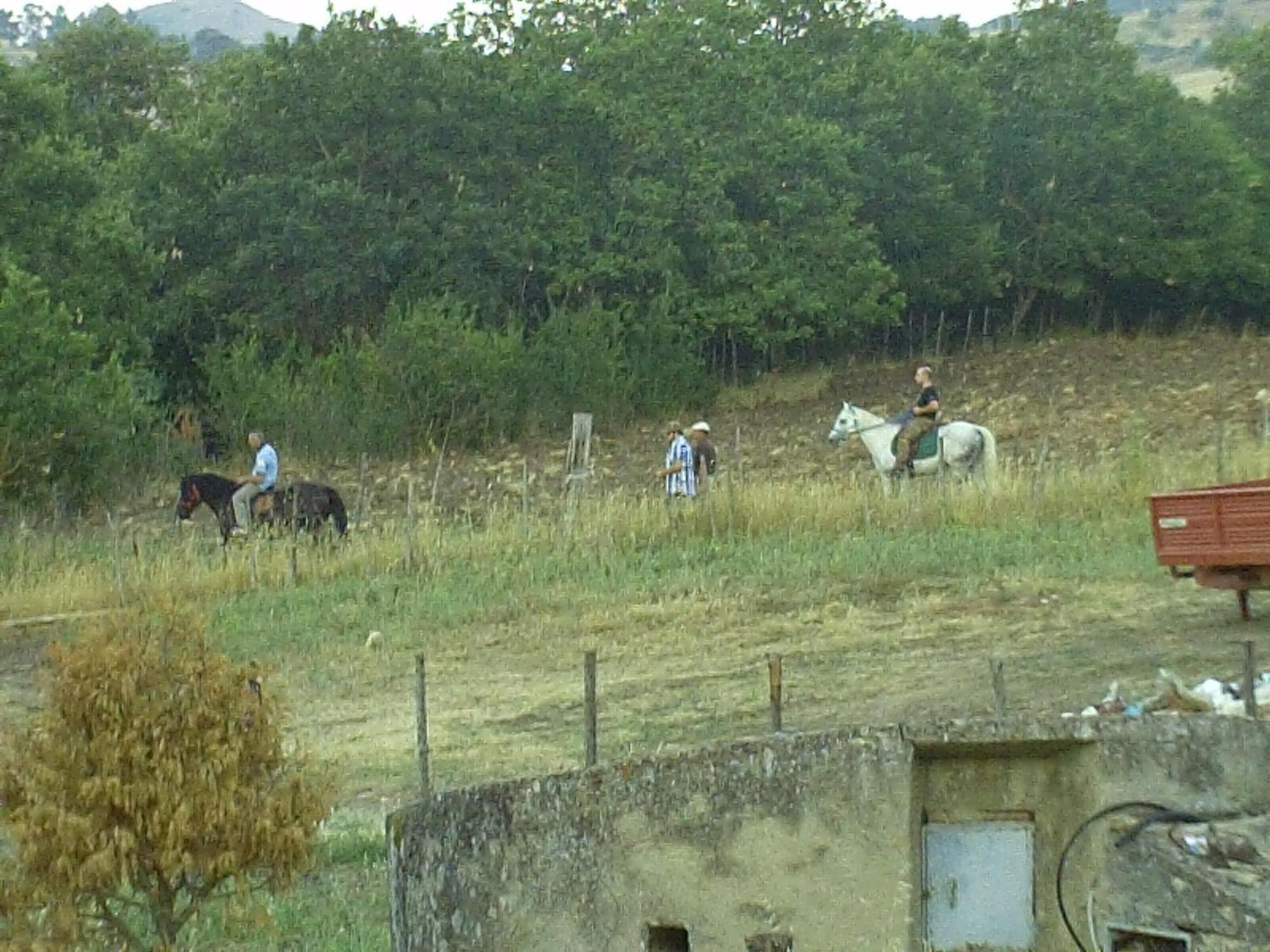 Agriturismo San Pietro Gangi Esterno foto