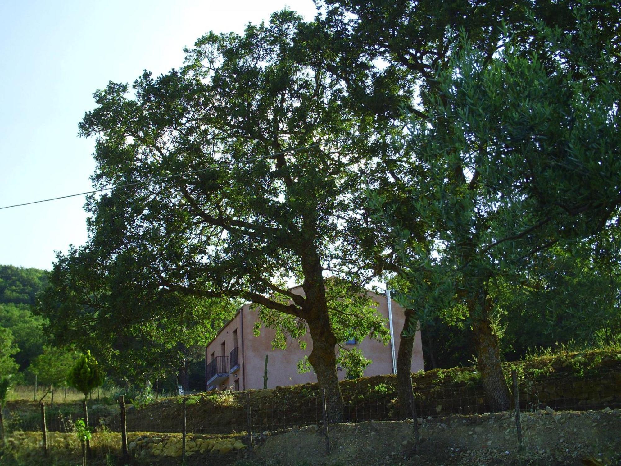 Agriturismo San Pietro Gangi Esterno foto