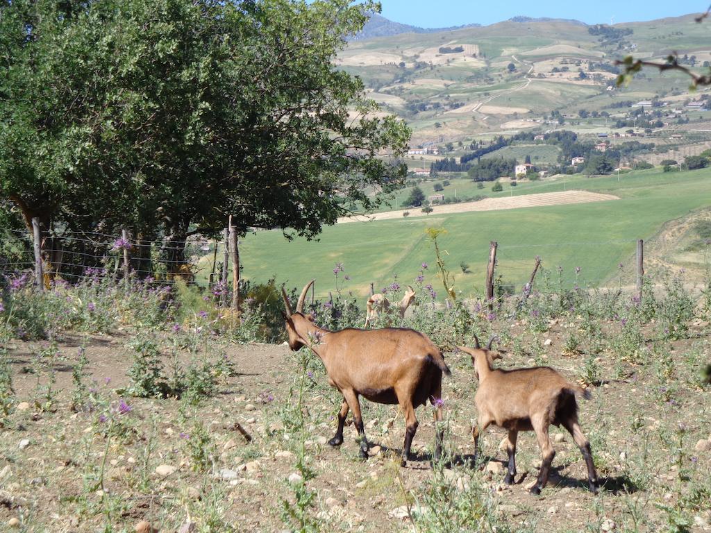 Agriturismo San Pietro Gangi Esterno foto