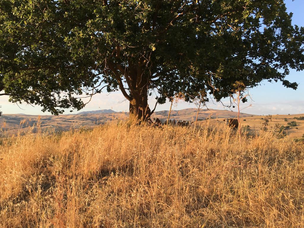 Agriturismo San Pietro Gangi Esterno foto